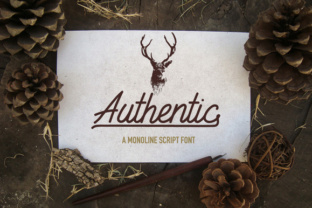 Authentic: A Hand-Crafted Script Font Inspired by Nature
