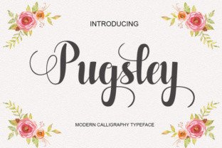 Pugsley: A Handwritten Font That Balances Craft and Practicality