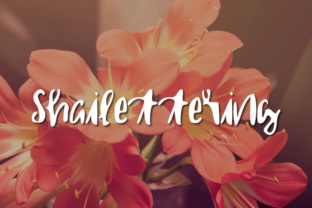 Shailettering font brings your signs and projects to life